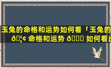 玉兔的命格和运势如何看「玉兔的 🦢 命格和运势 🐘 如何看出来」